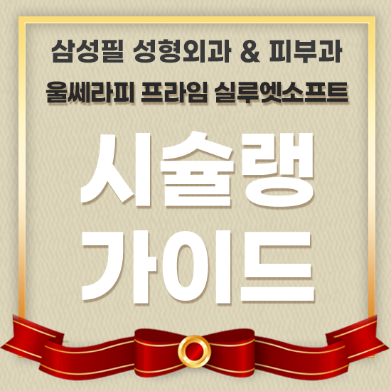 삼성필 시슐랭 가이드